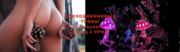 гидропоника Абдулино