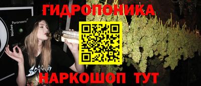 шишки Пугачёв