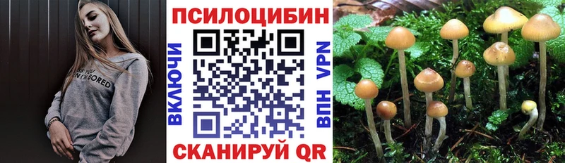 Галлюциногенные грибы прущие грибы  Чебаркуль 