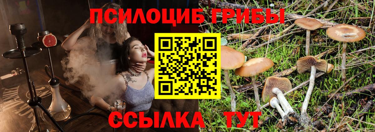 Чебаркуль  Галлюциногенные грибы Psilocybine cubensis  Вход с VPN 