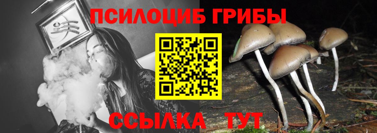 Галлюциногенные грибы прущие грибы Чебаркуль